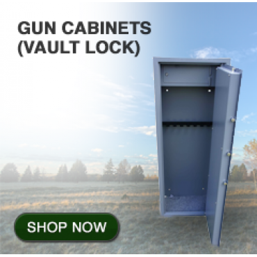 Gun cabinets, Gun Safes