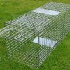 63" folding fox trap