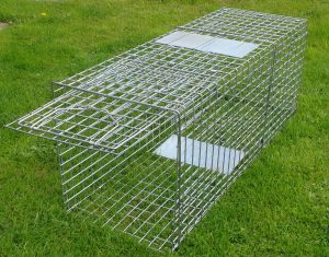 63" folding fox trap
