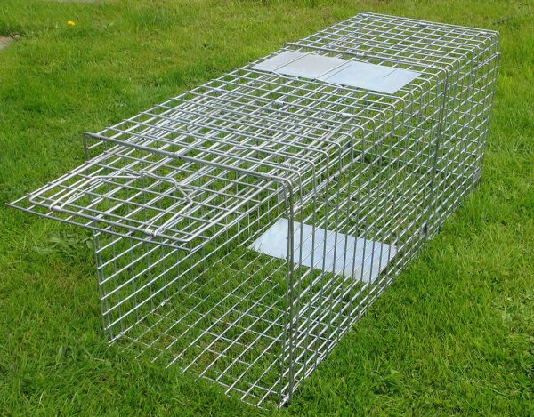63" folding fox trap