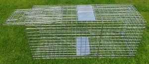 63" folding fox trap