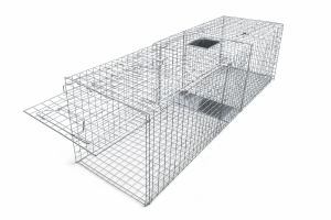 GDK 80" Jumbo dog trap, X-L dog trap