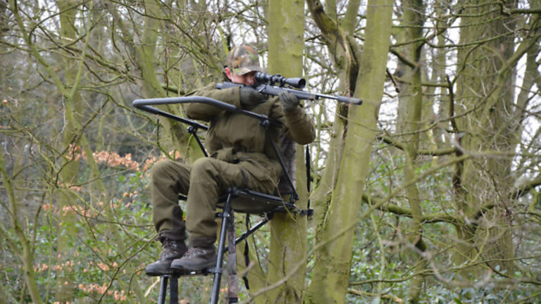 High seats, Tree ladders